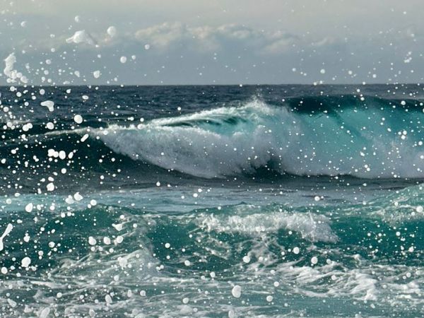 Wet & Wild Wednesday