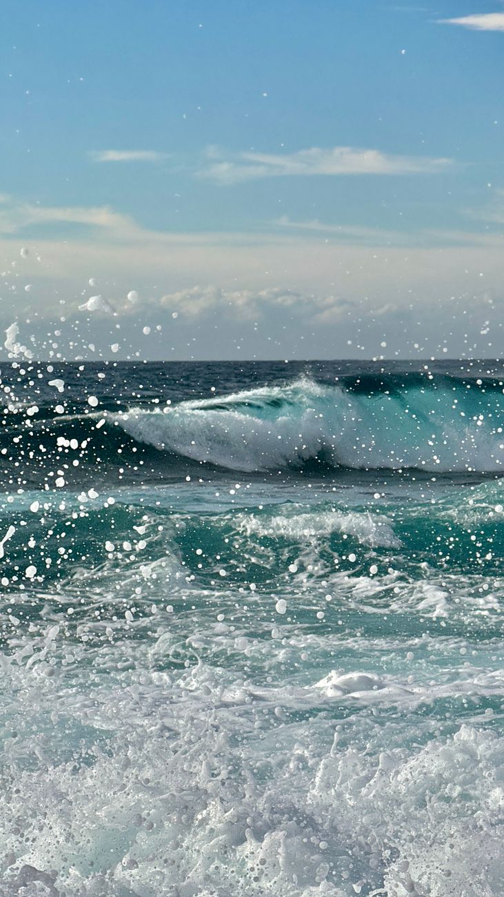 Wet & Wild Wednesday