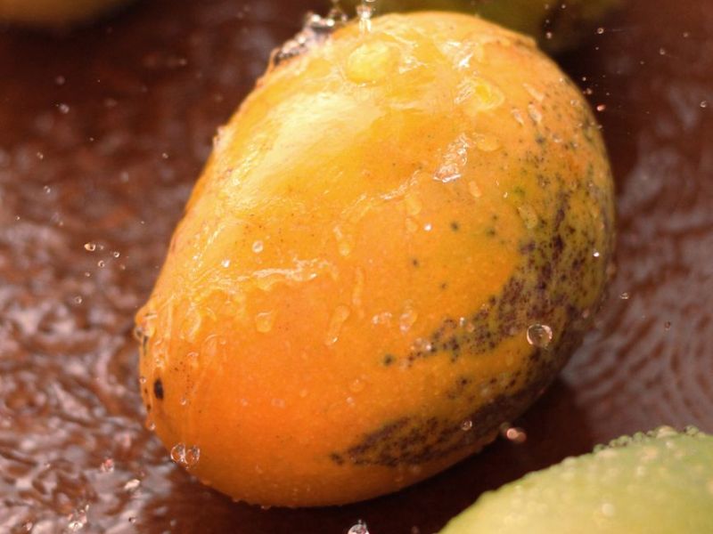 Wet & Wild Wednesday: Juicy Mango Part 1