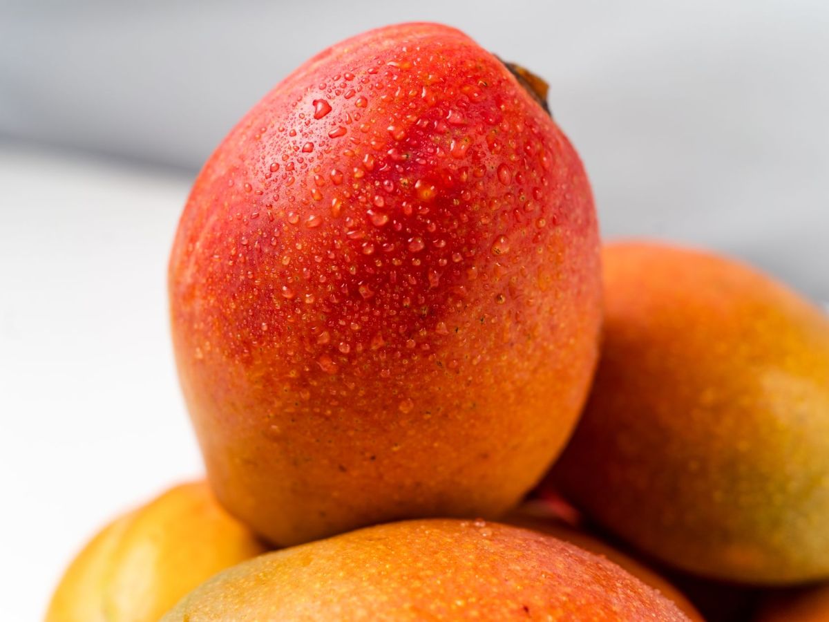 Wet & Wild Wednesday: Juicy Mango – Part 2