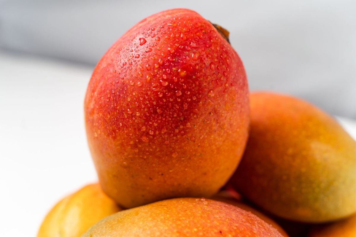Wet & Wild Wednesday: Juicy Mango – Part 2